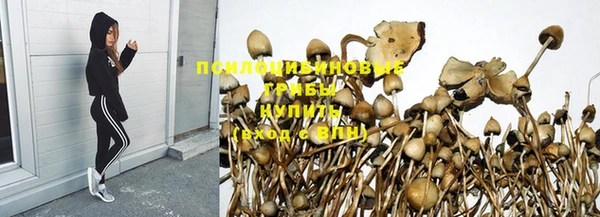 трава Киреевск