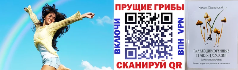 Купить закладки  Новый Оскол  Галлюциногенные грибы MAGIC MUSHROOMS 